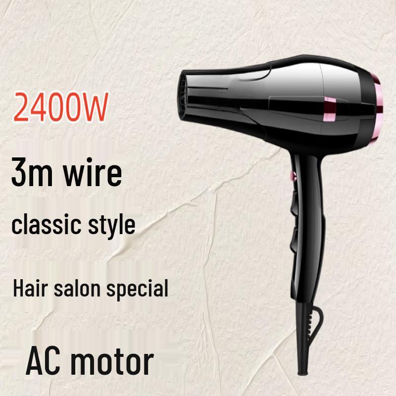 LISM Professional Salon Hair Dryer