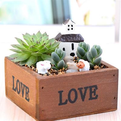 Nuovo TOP quadrato naturale in legno pianta grassa aiuola fioriera fioriera da giardino 10 cm
