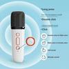 Karaoke Drahtlos Tragbar Bluetooth Lautsprecher Mit Mikrofon Maschine Mini Lampe Soundbox Musik Klein Caixa De Som Bocina Säule