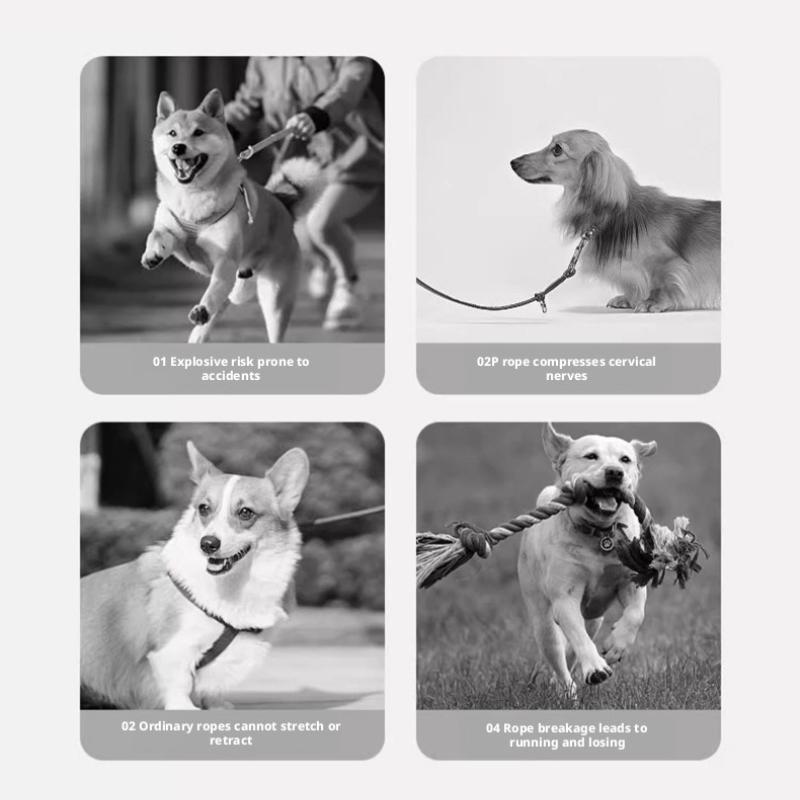 Automatic rope dog leash dog leash going out to walk the dog automatic telescopic retractor Corgi Shiba Inu