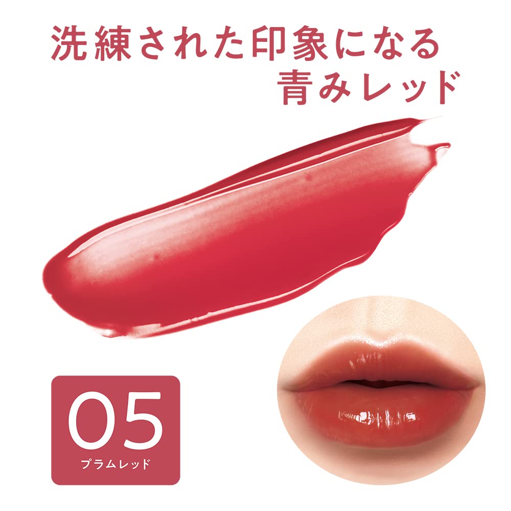 CEZANNE Watery Tint Lip 05 Rouge Prune Teinte formule brillance 4.0g Longue tenue