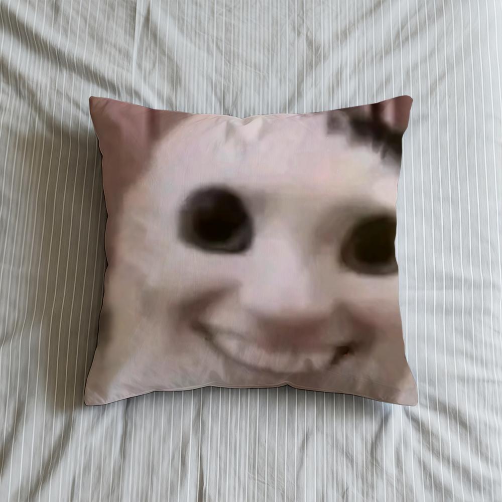 Cushion Cover Soft Meme Case Funny Sofa Living Room Home Comfortable Office Decor Cat Protective Pillow