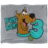 Ruh Roh! I´m 3 Soft Touch Blanket