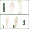 OB11 Doll Body 1/12 MJD Movable Doll Model Action Figure Normal Size Girl (Super White - 12cm)