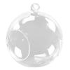 Fillable Bauble Clear Glass Ball Microlandscape Container Open Mouth Plant Pot for Decorating Window or Balcony