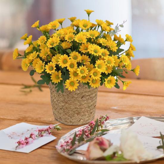 

Artificial Daisies Bundle Realistic Faux Flowers Reusable Fake Flowers with Stem Photography Props for DIY Home Garden Wedding Decor рожевий червоний колір