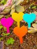 20pcs-Plastic inserted ground plant and flower labels, outdoor garden plant labels, reusable plant labels-random color
