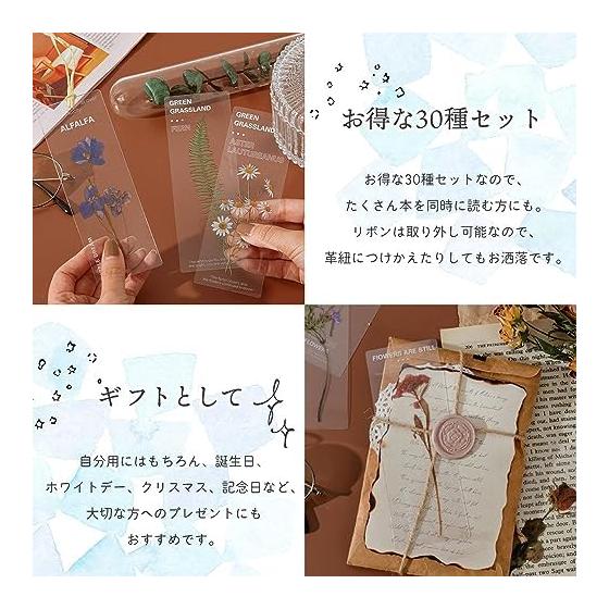 Moin Moin Bookmark Set - 30 Transparent Floral Designs with English Flower Names, Waterproof PET, Approx. 5cm X 14cm - Perfect for Readers and Gifts