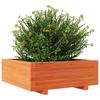 Plant Pot Wax Brown 70x70x26.5 Cm Solid Pine Wood