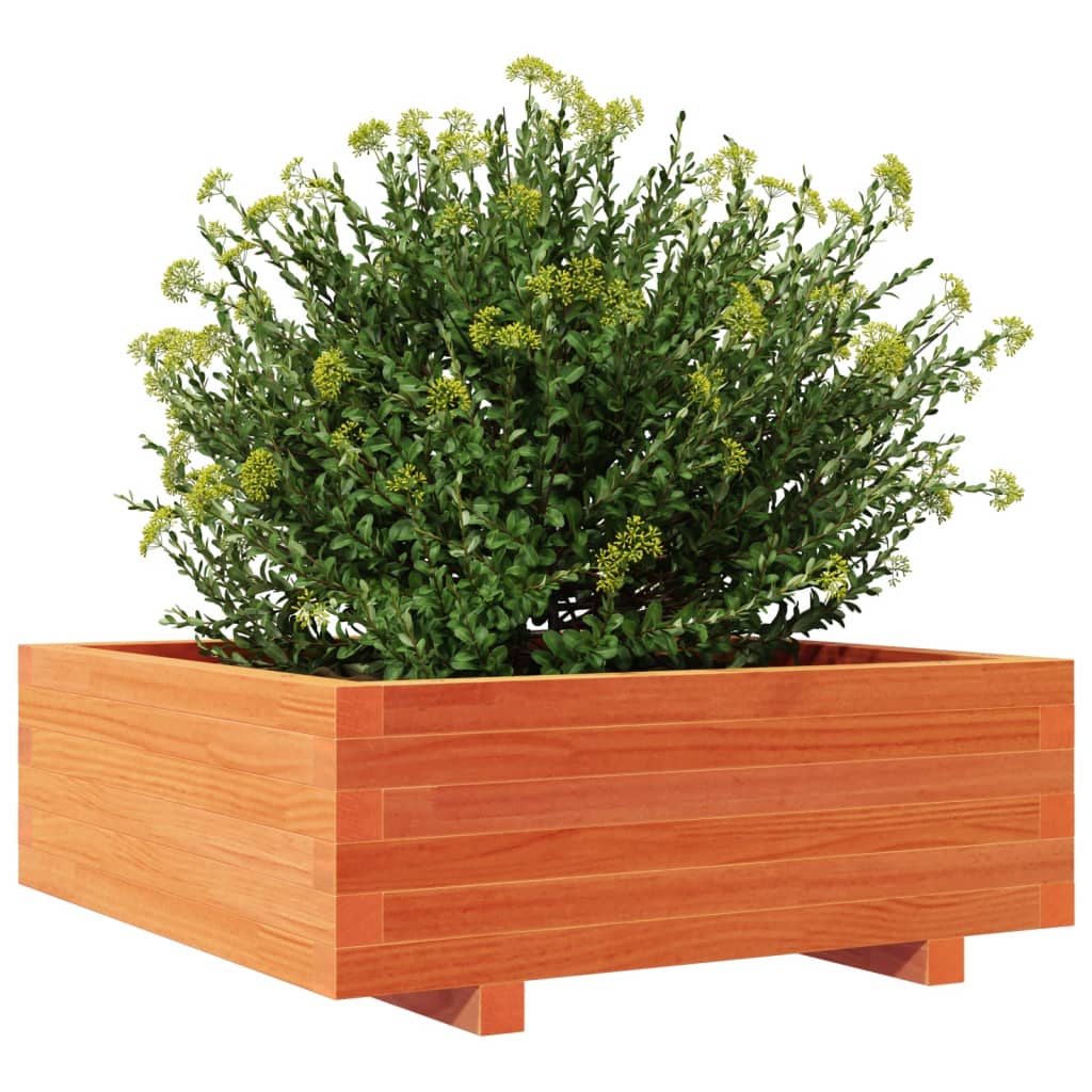 Plant Pot Wax Brown 70x70x26.5 Cm Solid Pine Wood