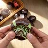 Crisp Chocolate Ball Squeeze Toy with Wax Coating Stress Relief Slow Rising Shapeable Ball Sensory Fidget Toy Decompression Tool Party
