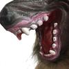 Halloween Horror Savage Wolf Head Mask Masquerade Fluffy Headgear Decoration
