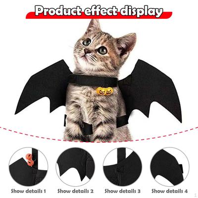 Kočky – Oblečení pro kočky