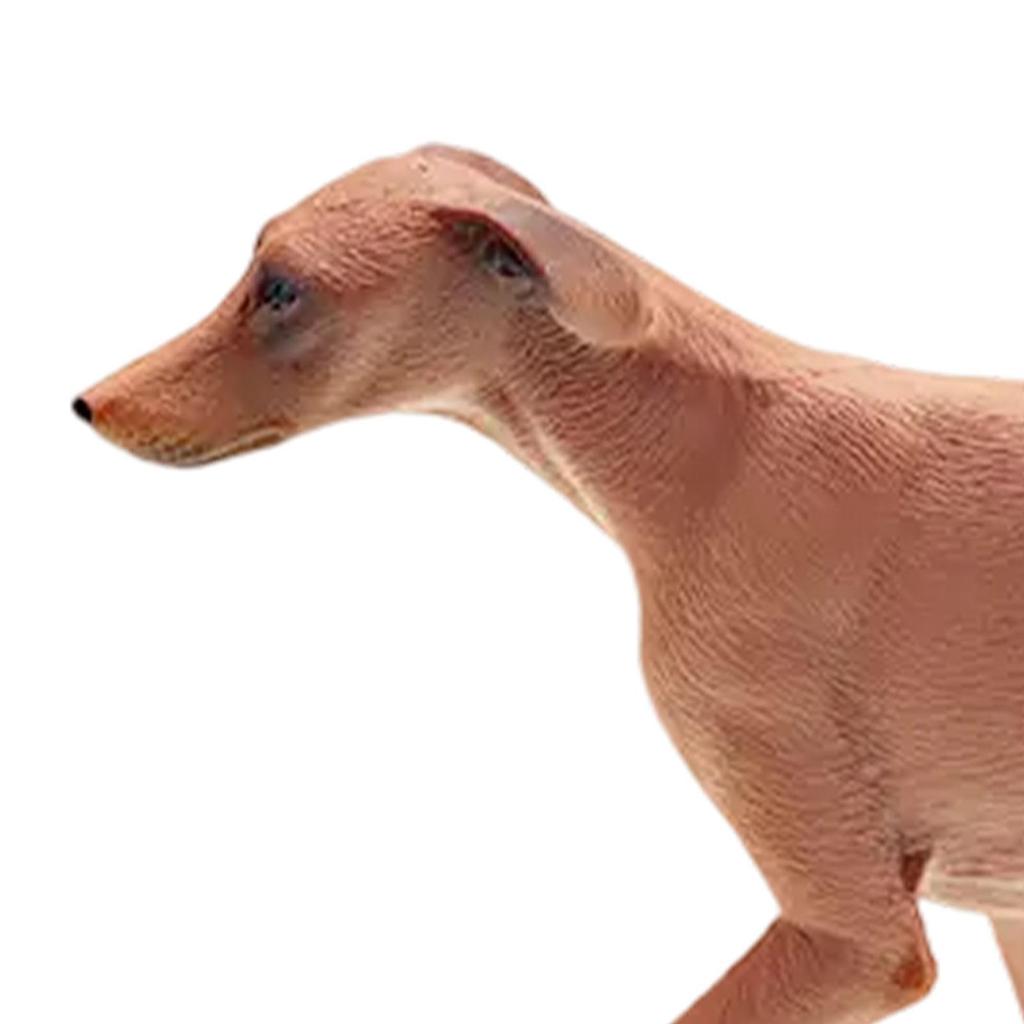 Azawakh Dog Statue Puppy Sculptures Office Children Ins Toys Simulation Model