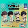 Pvc Haikyuu Exciting Shoulder To Shoulder Sleep Series 2 Blind Box Anime Figurines