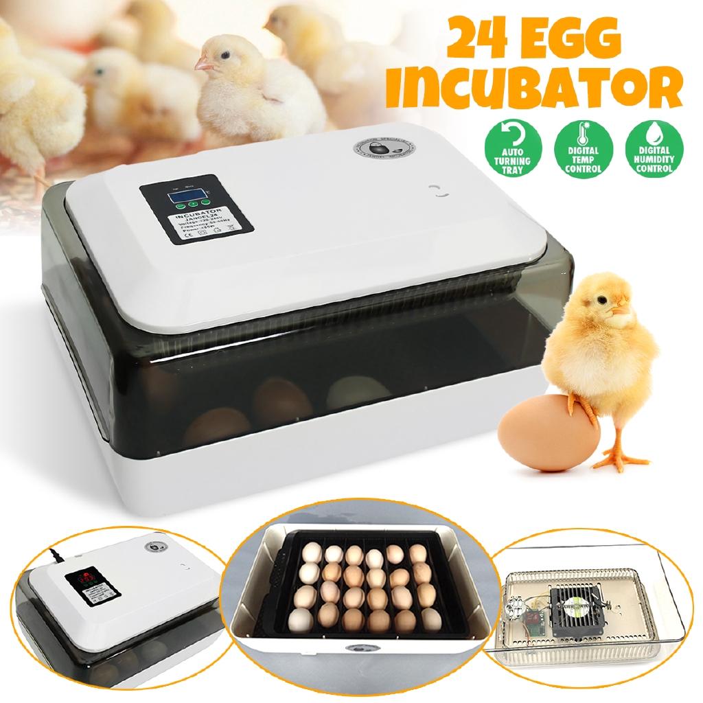 

Auto-Turning Digital 24 Eggs Incubator Automatic Hatch Chicken Duck Egg 180V/240V 85W 50-60HZ
