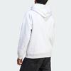 Adidas Long Hoodie Solid Color Logo Loose Fit Sweatshirt Men Hoodies Light-Gray IS7488