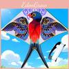 Spring Swallow Kite With Polyester Material And Glass Fiber Frame For Kids Outdoor Play