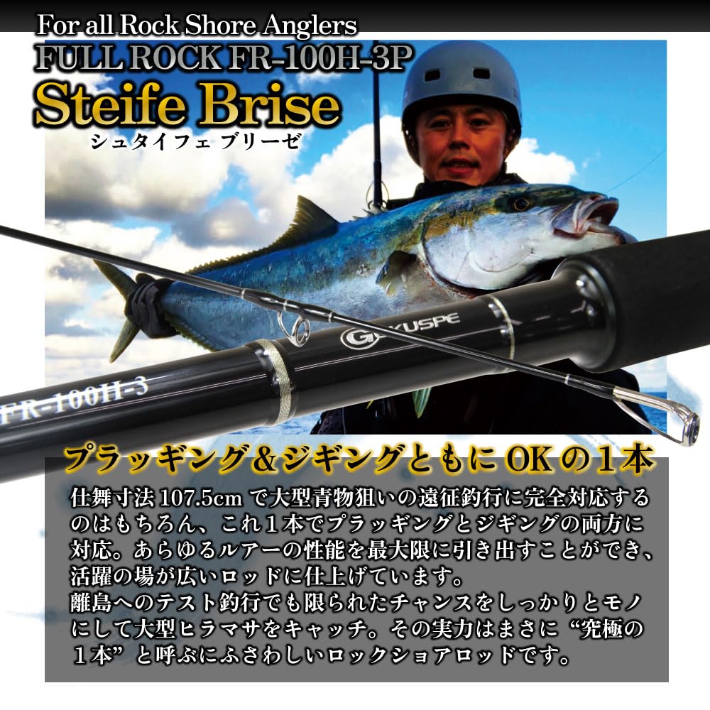 Gokuspe Jigging Rod FULL ROCK Steife Brise Rock Steife (Full Brise) FR-100H-3
