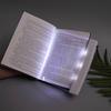 Night Light Rechargeable Clip-On Book Lamp 2-in-1 Full-Page Lighting Eye-Protecting Lenses Bed Reading Light