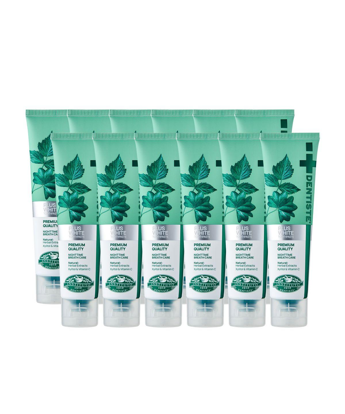 Dentiste New Plus White 60g x 12 pieces