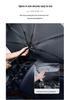 Cute Cartoon Bear & Rabbit Car Sunshade - Creative Summer Windshield Heat Insulation & UV Protection