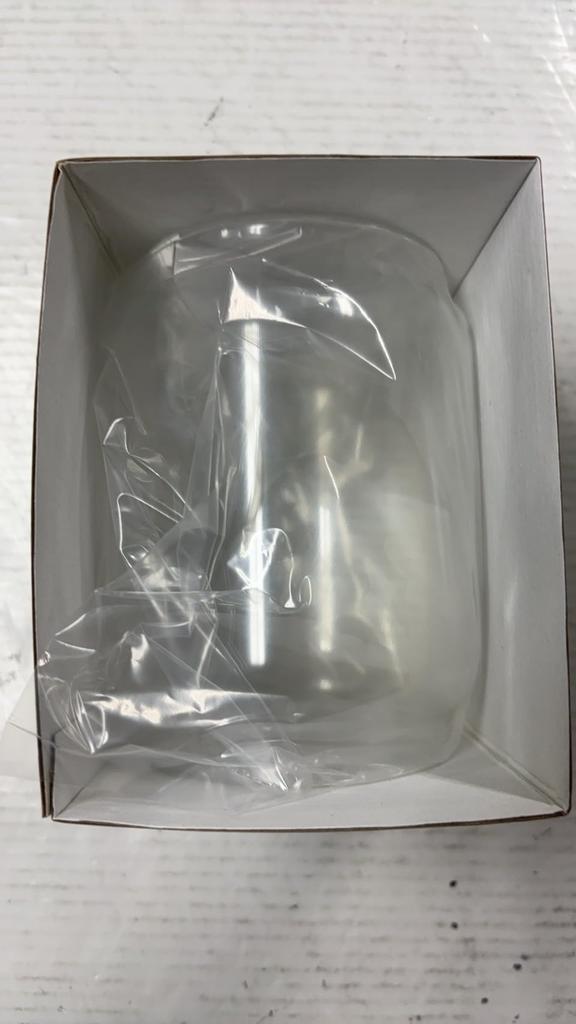 Genuine Coleman Globe North Star 2000 Lantern, 2500 North Star LP Gas Lanterns (Parallel Import)