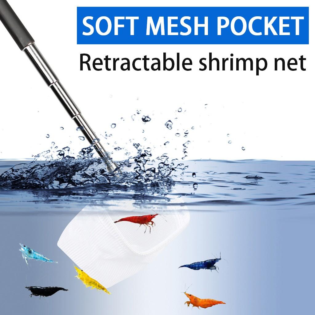 Buy Fish Shrimp Skimming Net Fine Mesh Extendable Stainless Steel