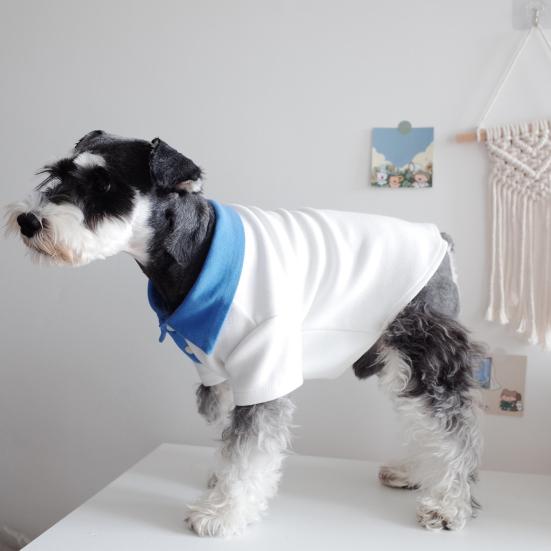 mini schnauzer clothes