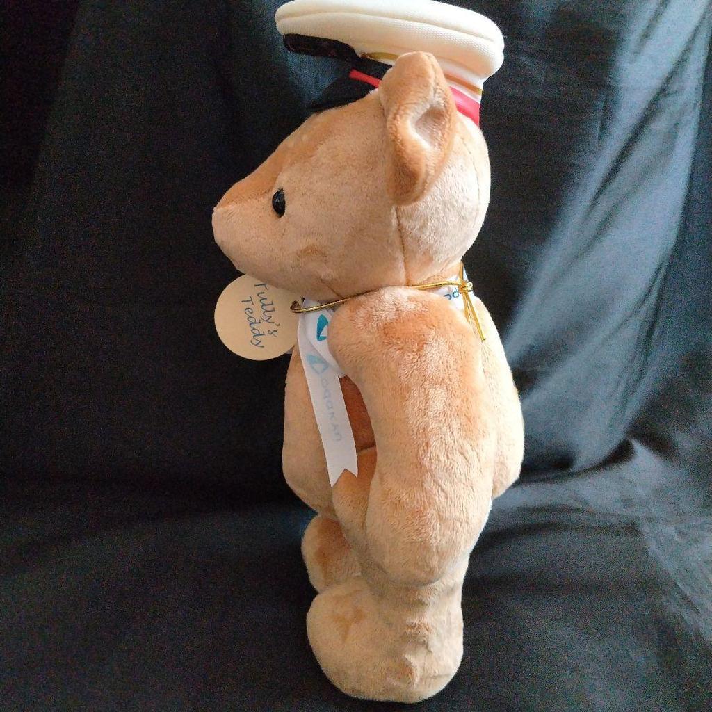 [USED] [Tagged] Limited-Quantity Release Tully's x Odakyu Collaboration Teddy Bear Romance Car