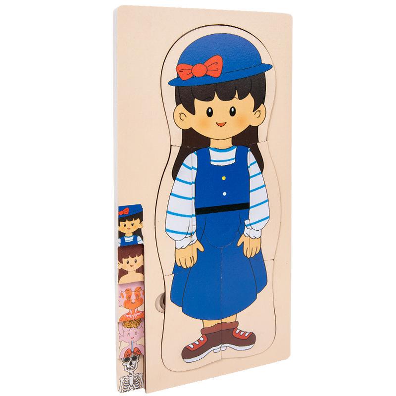 

Early Childhood Educational Wooden Puzzle: Multi-layer Body, Brain & Organ Development Toy
