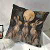 Textile pentru bucătărie și sufragerie – Huse pentru perne