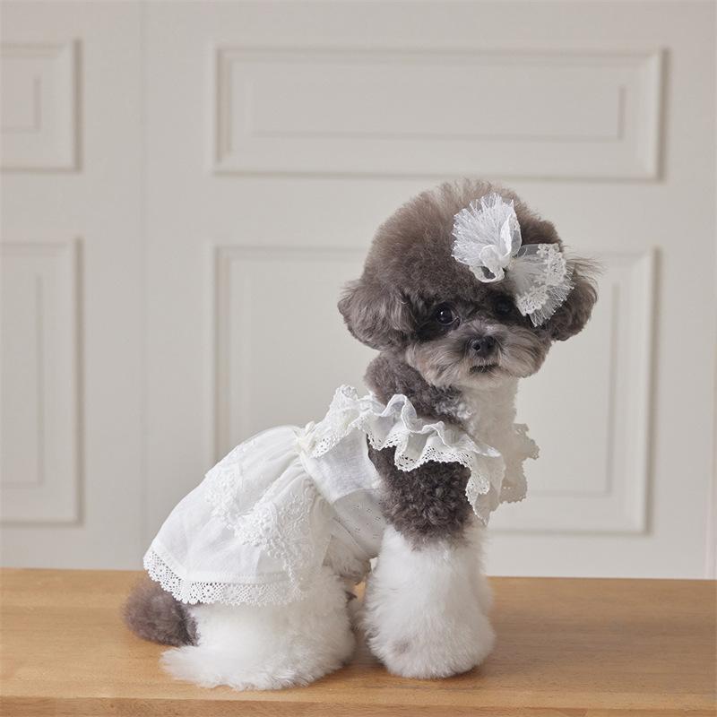 Haustier Spitze Flatterärmel Kleid Katze Oberteil Frühling Spitze Prinzessinnenkleid Kleiner Hund Hunde Kleider für Kleine Hunde Welpen Kleidung