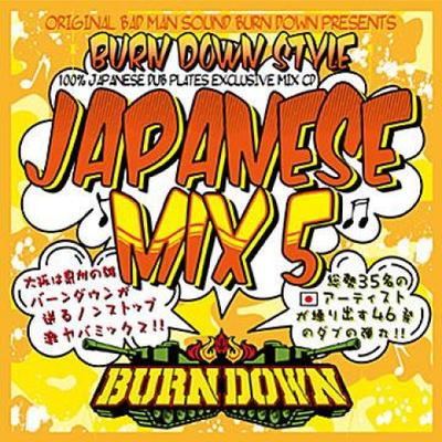 Mix CD BURN DOWN  Burn Down Style Japanese Mix 5 BDRCD028 Burn Down JPN 2013 Japan Japanese Club Dance Used