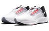 Nike Air Zoom Pegasus 38 White Black Provence Purple Women's CW7358-500