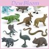 Fauna Australiana Pvc Ornitorinco Ornitorinco Koala Collezione di Modelli Con Figure Animali Realistiche Per Appassionati della Natura