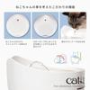 Catit Pixi Brunnen Weiß Leiser Katzen Smart Wasserspender Automatischer Wasserspender mit 1 Wasserenthärtungsfilter 2,5L