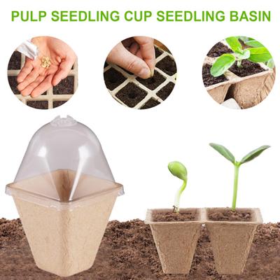 10Pcs Pulp Plant Cup Biodegradable Ventilation Holes Disposable with Lid Nursery Home Cultivation Pulp Mould Plant Starter Pot Home Supply