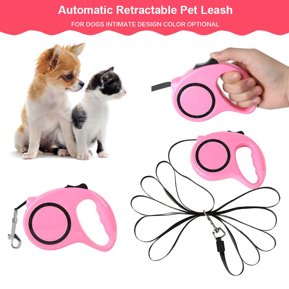 retractable cat lead