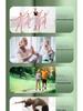 Adjustable Leg Slimming Stretch Board for Yoga, Calf Stretching & Fitness