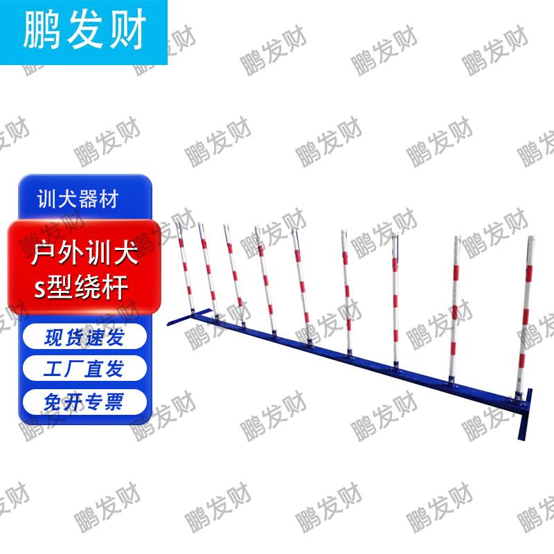Professional Outdoor Dog Agility Training Equipment