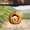 Pumpkin Acrylic Adorable Doll Car Pendant For Rearview Mirror Decoration Gift