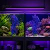 Stable Fish Tank Plants Artificial Water Plant, Aquarium Decoration, Purple Blue Gradient Color Durable Plant Decoration Plastic Leaves, Safe Ornament