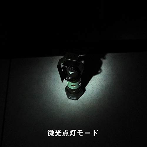 Ryohin Buhin INSIGHT Type WMX200 Tactical Weapon Light with Ultra-Real Engraving, White LED & IR Mode, FDE (Flat Dark Earth)