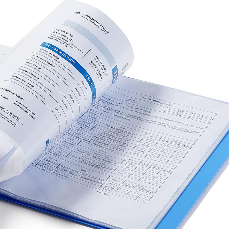 Qixin NF60AK A4 Office Document Holder, 60 Pockets