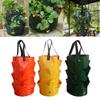 3 Gallon Plant Grow Bags Gardening Aeration Planting Pot for Flower Plants