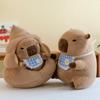 Capybara Ugly-Cute Plush Doll and Pillow Set
