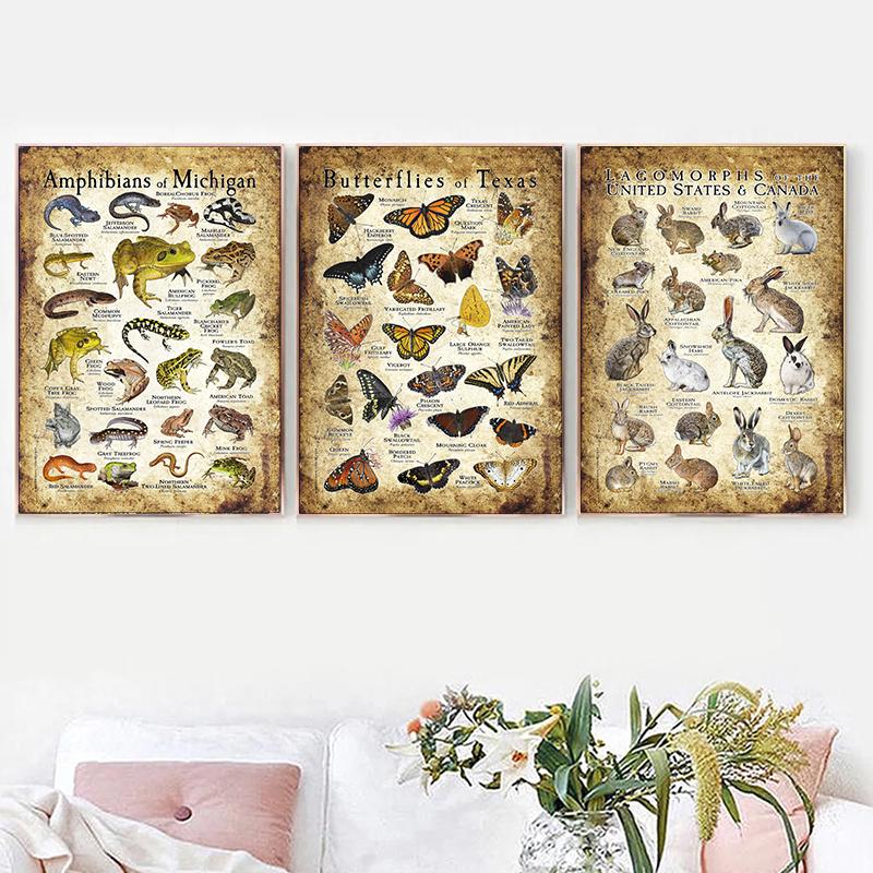 Abstrakt HD-tryck Fjäril Groda Fåglar Haj Marina Djur Collage Poster Canvas Målning Vintage Väggkonst För Barn Sovrum Heminredning