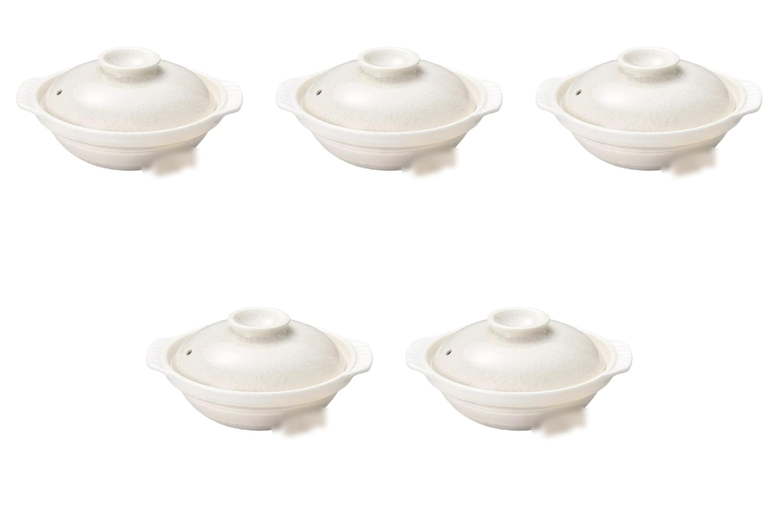 

Set of 5 Ginpou Katsurin 6 Pots x x Banko Ware Earthenware Direct Fire Setomonohonpo No. [21.8cm 18.8cm 10.5cm] Pots, (Pot Only),