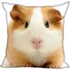 Living Room Pillowcase Guinea Pig   Modern Home